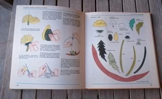 Divertiamoci Con Carta E Cartone Bricolage Origami