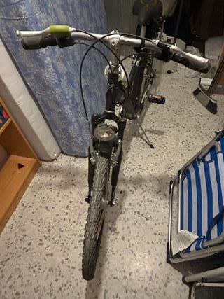 Bicicleta adulto