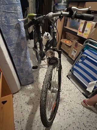 Bicicleta adulto