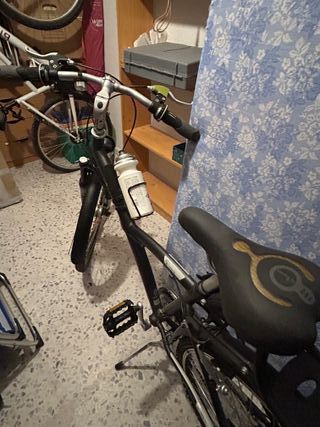 Bicicleta adulto