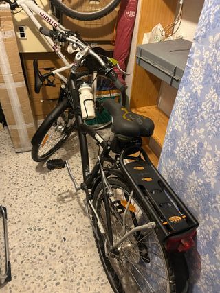 Bicicleta adulto