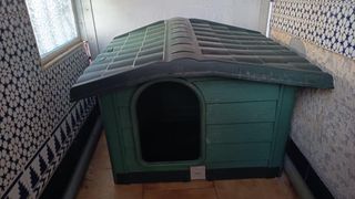 Caseta perro grande - Verde