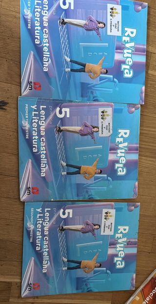 vendo libros del raimundo lulio 5 grado en exelent