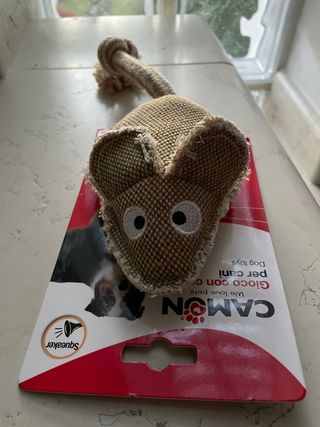 Gioco prr Cane Camon Topolino