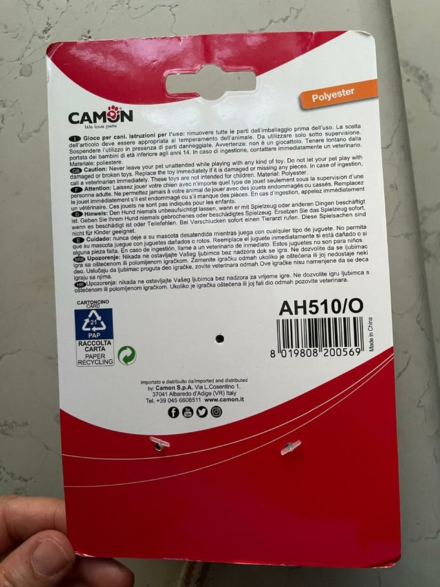 Gioco prr Cane Camon Topolino