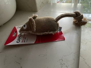Gioco prr Cane Camon Topolino