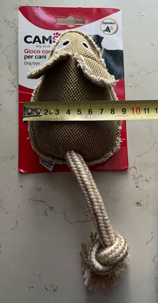 Gioco prr Cane Camon Topolino