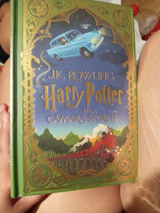 Harry Potter y la cámara secreta (Ed. Minalima)...