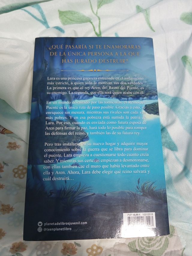 El Reino del Puente (Ficción) (Spanish Edition)