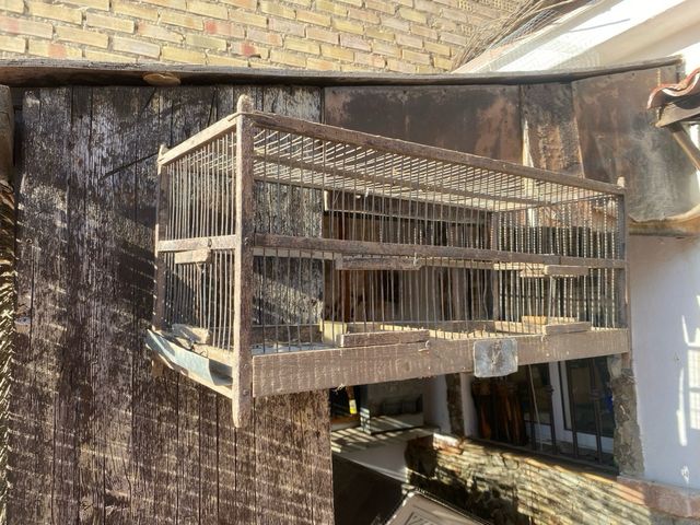 Jaula pajaros silvestres