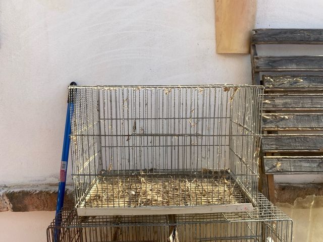 Jaula pajaros para cria 50cm