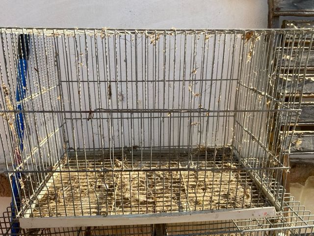 Jaula pajaros para cria 50cm