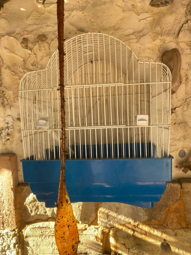 Jaula pájaros - Blanca y Azul