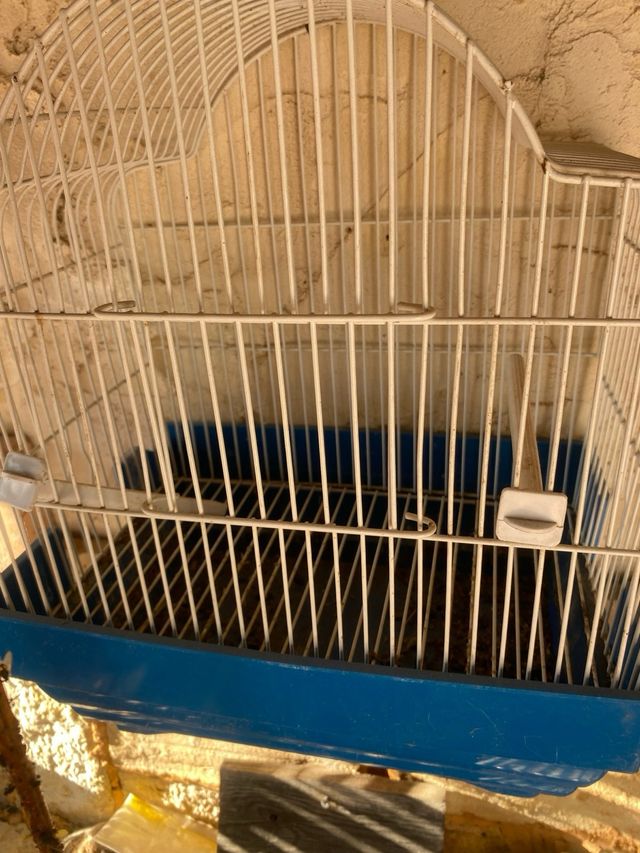 Jaula pájaros - Blanca y Azul