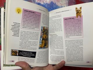 Libro Yorkshire Terrier - Guía completa