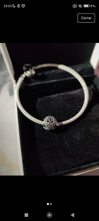 Charm Pandora