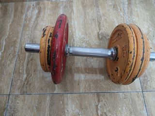 Pesas gimnasio 