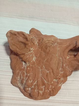 Testa Cinghiale Argilla - Scultura