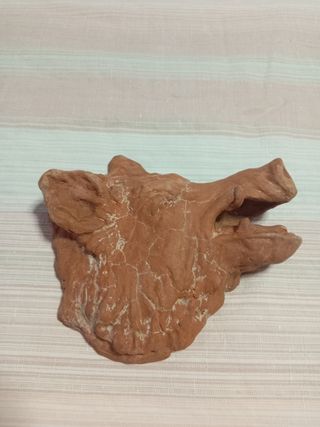 Testa Cinghiale Argilla - Scultura