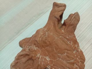 Testa Cinghiale Argilla - Scultura
