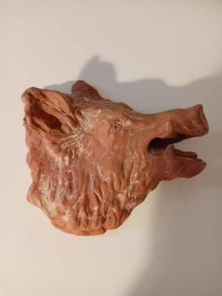 Testa Cinghiale Argilla - Scultura