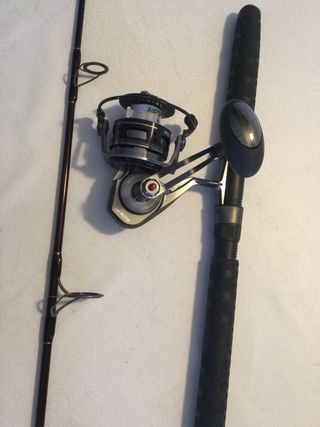 Caña y carrete pesca