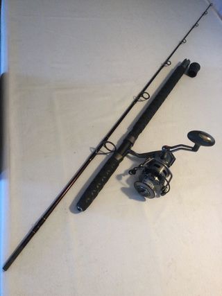 Caña y carrete pesca