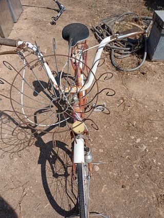 Bicicleta antigua BH.