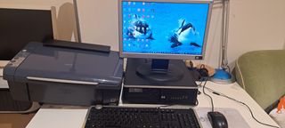 PC completo HP Compaq Elite 8000 con impresora