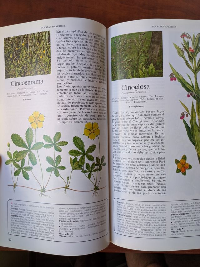 Secretos y Virtudes Plantas Medicinales