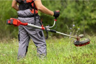 Limpieza de terrenos i parcelas con desbrozadora