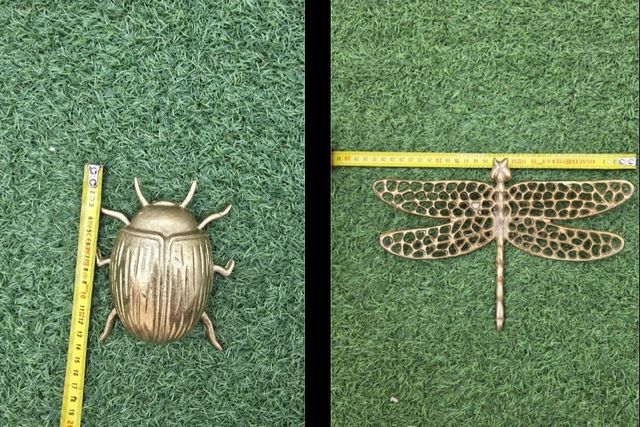 Escarabajo y libélula dorados