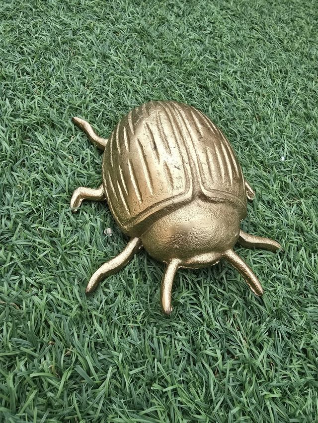 Escarabajo y libélula dorados