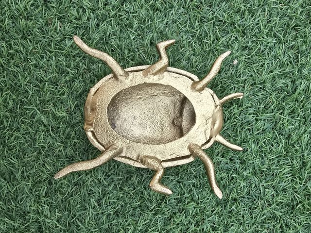 Escarabajo y libélula dorados