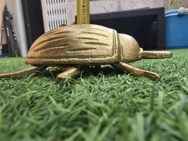 Escarabajo y libélula dorados