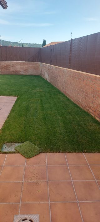 Jardinero profesional 