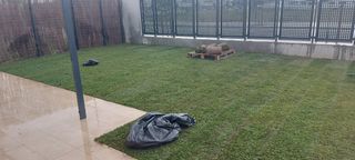 Jardinero profesional 