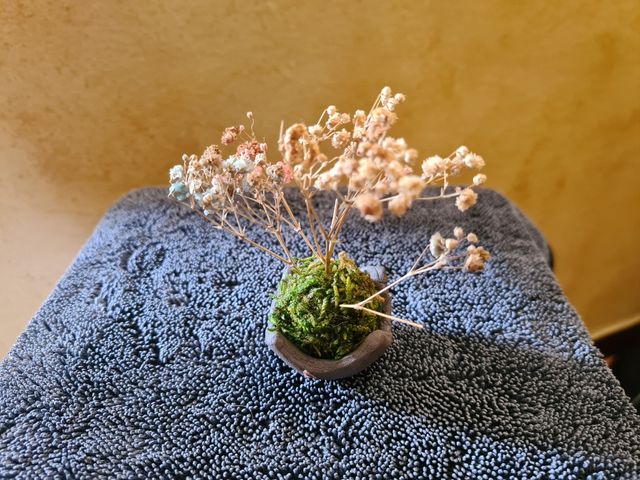 Mini Kokedama Artigianale con Fiori Secchi