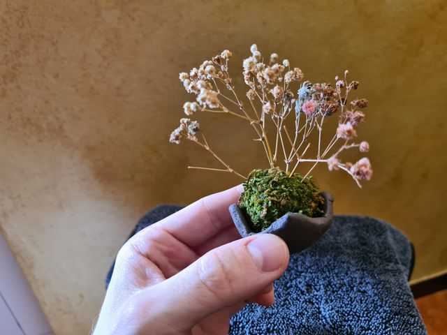 Mini Kokedama Artigianale con Fiori Secchi