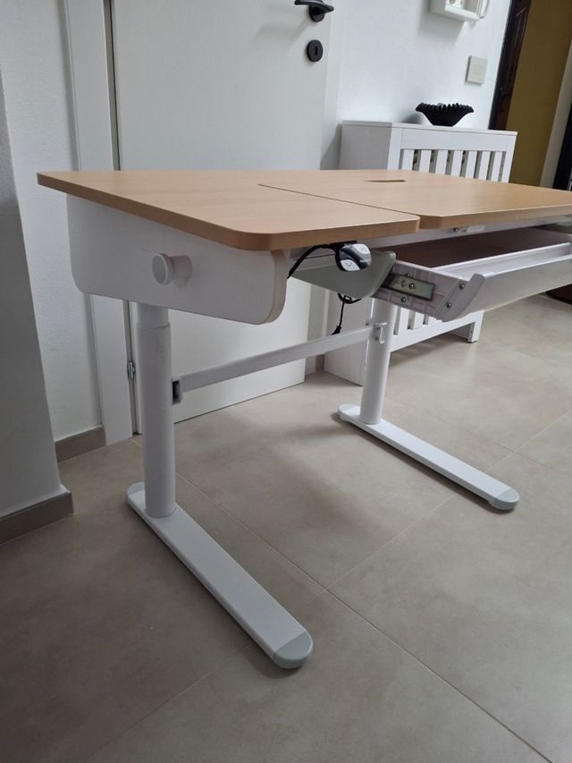 Scrivania regolabile FlexiSpot