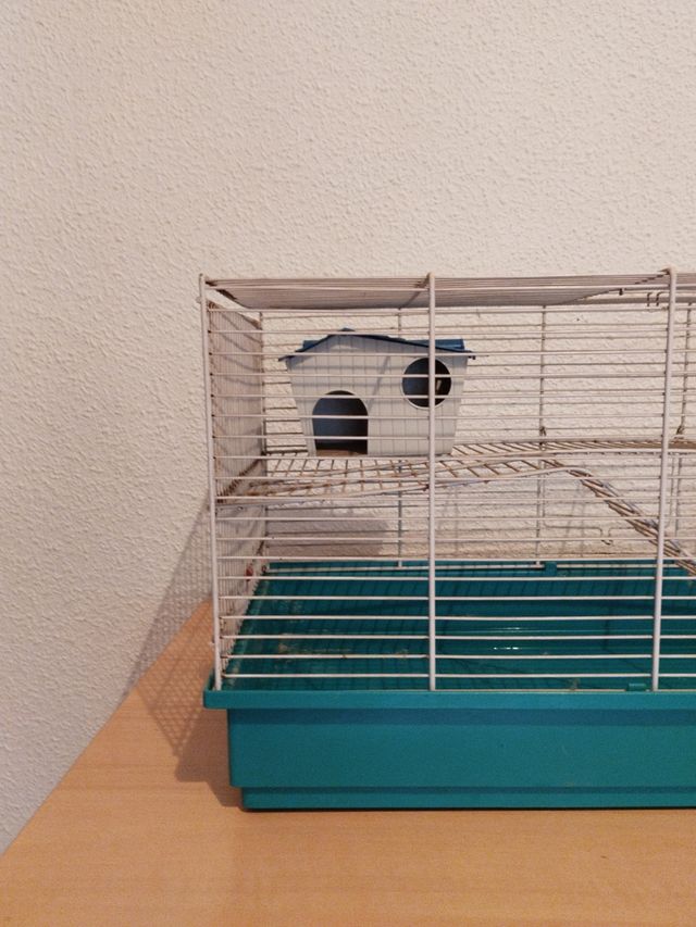 Jaula hámster - Jaula para roedores