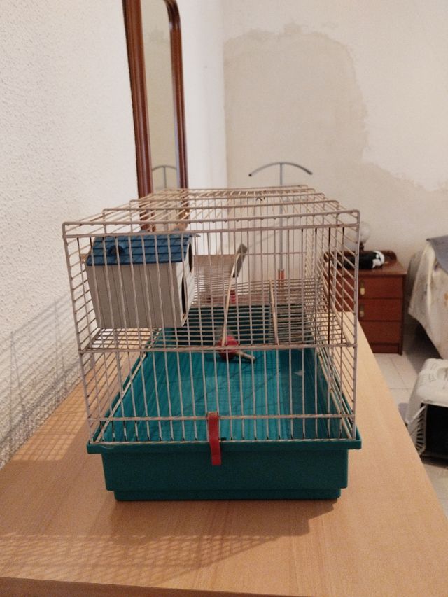 Jaula hámster - Jaula para roedores