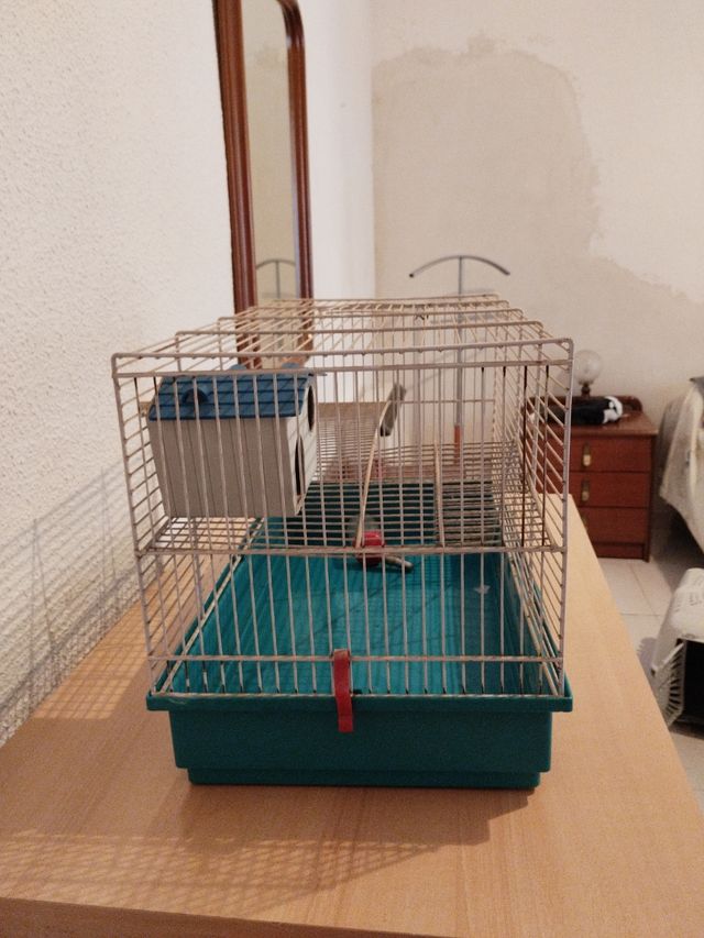 Jaula hámster - Jaula para roedores