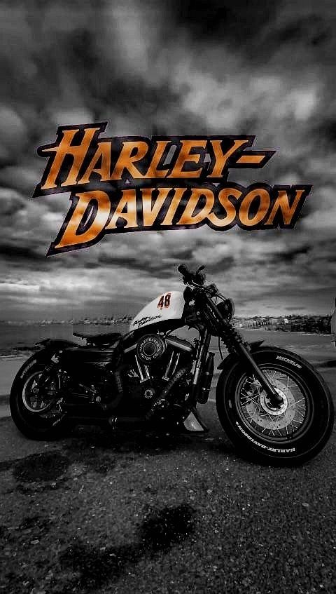 Pósters Harley-Davidson & Indian