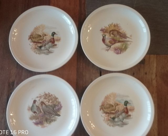Piatti decorativi Caza (4) marca Pontesa.