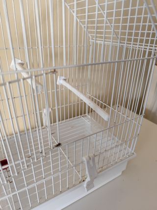 Jaula pajaros blanca