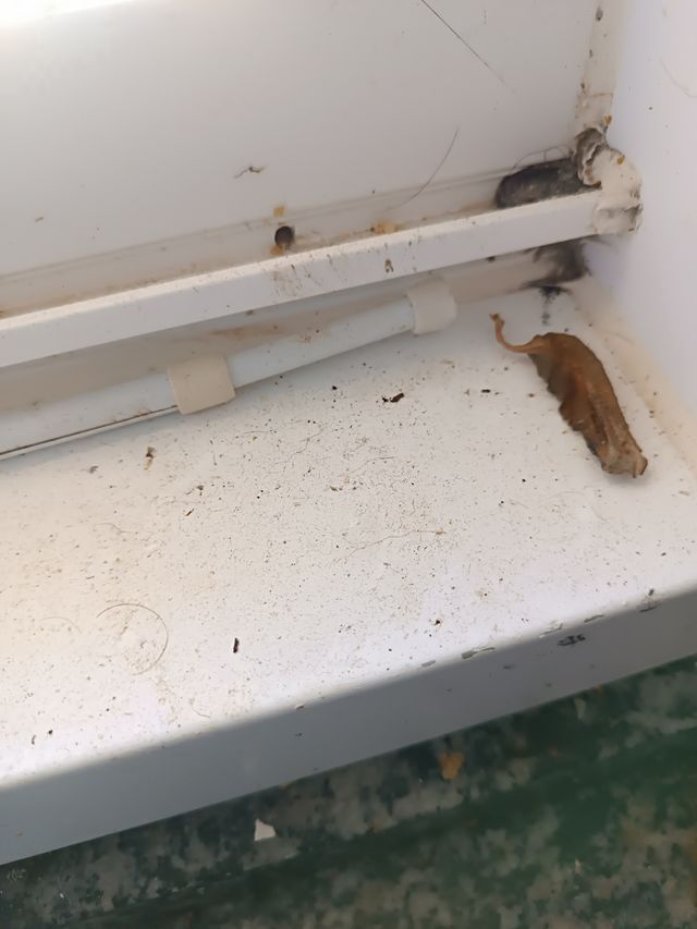 LIMPIEZAS cocinas en profundidad