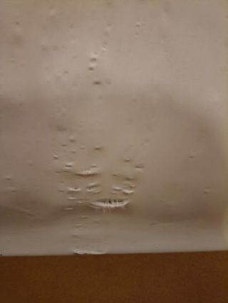 Minicuna Jane Babysite Colecho