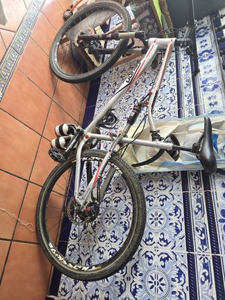 Bicicleta montaña