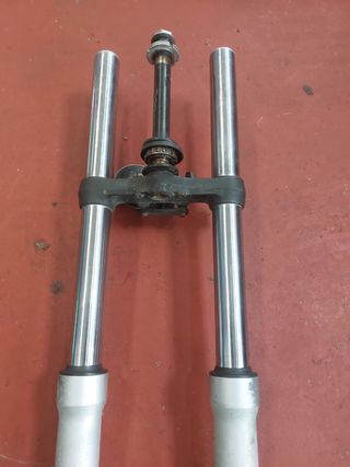 Horquilla BMW F650GS Carburación